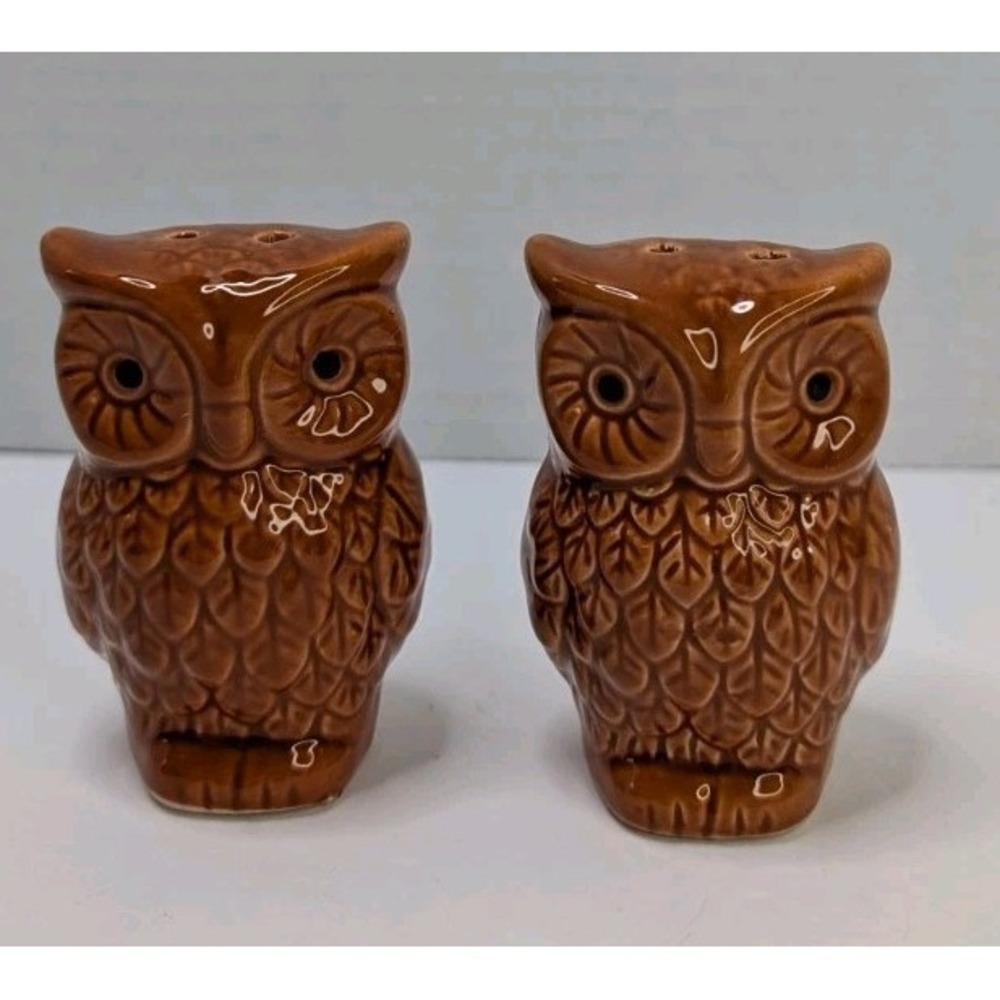 Unbranded Salt and Pepper Shakers Brown Owl Ceramic Vintage Style Kitchen Decor